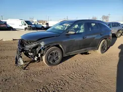 KM8JBDD10SU261743 2025 HYUNDAI TUCSON