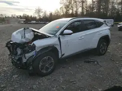 KM8JBDD10SU325909 2025 HYUNDAI TUCSON