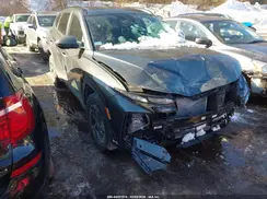 KM8JBDD11SU342623 2025 HYUNDAI TUCSON