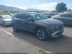 KM8JBDD11TU497500 2026 HYUNDAI TUCSON