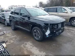 KM8JBDD12SU341206 2025 HYUNDAI TUCSON