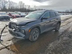 KM8JBDD13SU339223 2025 HYUNDAI TUCSON