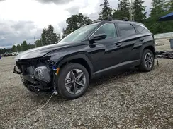 KM8JBDD14TU429398 2026 HYUNDAI TUCSON