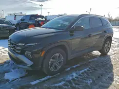 KM8JBDD15SU382929 2025 HYUNDAI TUCSON