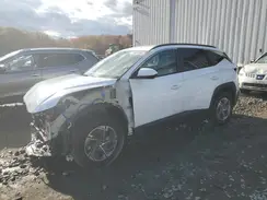 KM8JBDD19SU253043 2025 HYUNDAI TUCSON