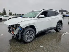 KM8JBDD19SU353935 2025 HYUNDAI TUCSON