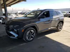 KM8JBDD19TU420423 2026 HYUNDAI TUCSON