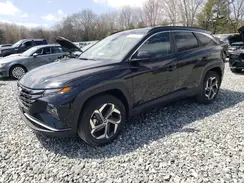 KM8JBDD20RU218037 2024 HYUNDAI TUCSON