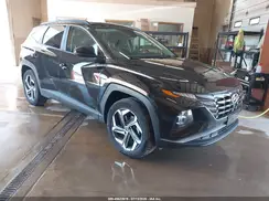 KM8JBDD24RU194566 2024 HYUNDAI TUCSON