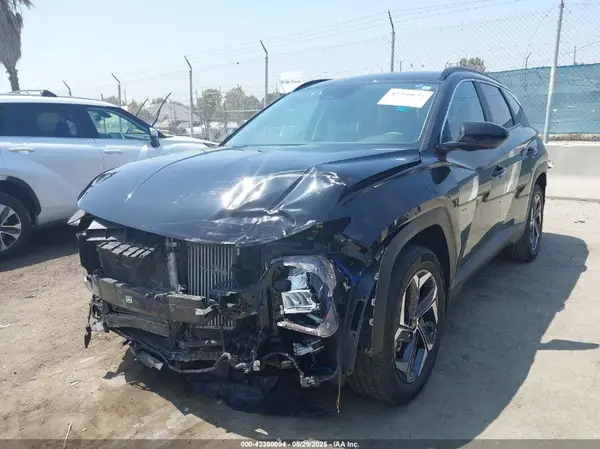 KM8JBDD25RU141892 2024 HYUNDAI TUCSON - Image 2