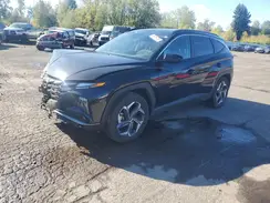 KM8JBDD26RU146826 2024 HYUNDAI TUCSON
