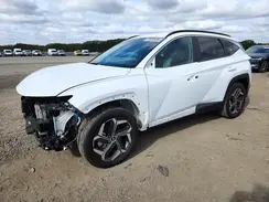 KM8JBDD26RU172813 2024 HYUNDAI TUCSON