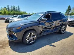 KM8JCCA13PU132219 2023 HYUNDAI TUCSON