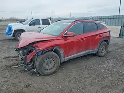 KM8JCCA1XPU097159 2023 HYUNDAI TUCSON