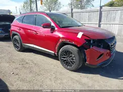 KM8JCCAE0PU248450 2023 HYUNDAI TUCSON