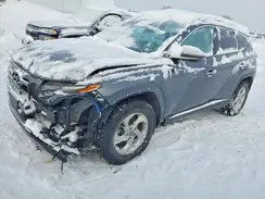 KM8JCCAE2PU183245 2023 HYUNDAI TUCSON