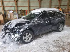 KM8JCCAE3PU195744 2023 HYUNDAI TUCSON