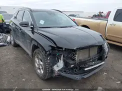 KM8JCCAE5PU219915 2023 HYUNDAI TUCSON