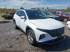 KM8JCCAE5PU258343 2023 HYUNDAI TUCSON