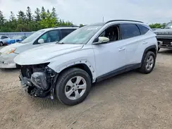 KM8JCCAE6NU035919 2022 HYUNDAI TUCSON