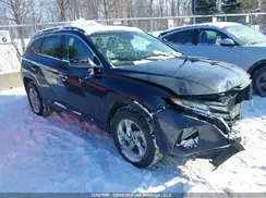 KM8JCCAE6PU200502 2023 HYUNDAI TUCSON