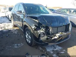 KM8JCCAE6PU252566 2023 HYUNDAI TUCSON