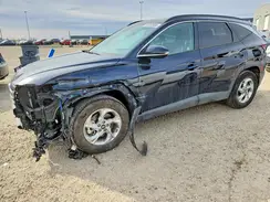 KM8JCCAE8PU200324 2023 HYUNDAI TUCSON