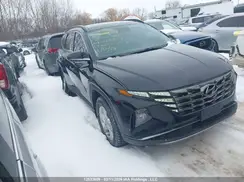 KM8JCCAE9NU145556 2022 HYUNDAI TUCSON