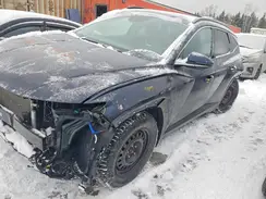 KM8JCCAEXPU255227 2023 HYUNDAI TUCSON