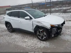KM8JCCD10RU175544 2024 HYUNDAI TUCSON