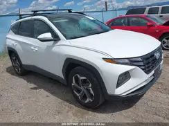 KM8JCCD10RU192344 2024 HYUNDAI TUCSON
