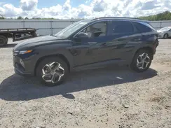 KM8JCCD10RU219669 2024 HYUNDAI TUCSON