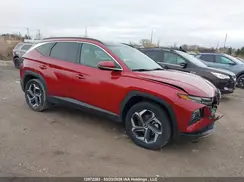 KM8JCCD10RU221812 2024 HYUNDAI TUCSON
