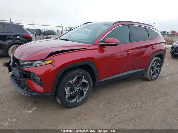 KM8JCCD10RU221812 2024 HYUNDAI TUCSON - Image 2