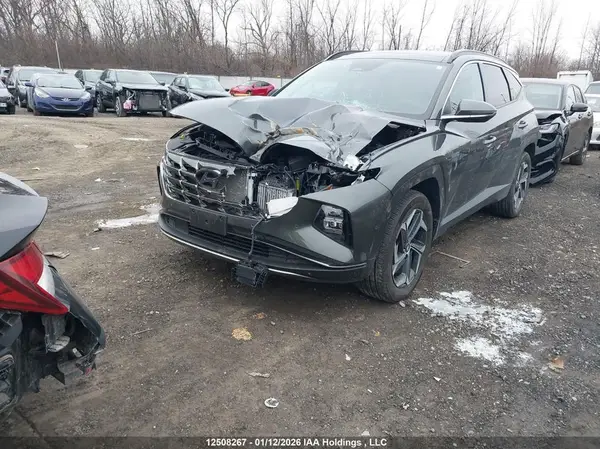 KM8JCCD10RU232938 2024 HYUNDAI TUCSON - Image 2