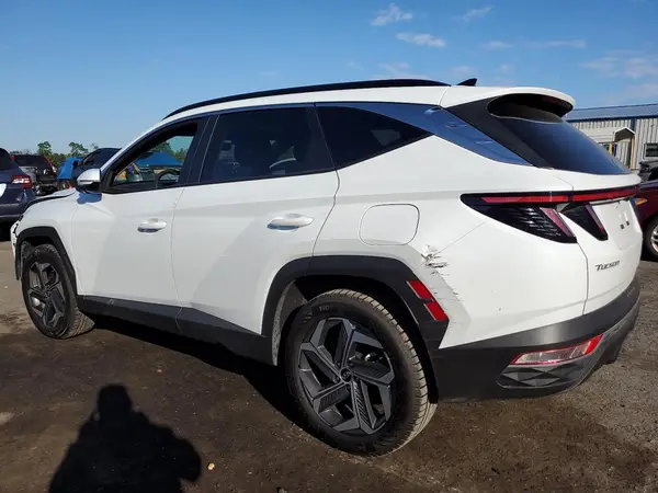 KM8JCCD11RU184284 2024 HYUNDAI TUCSON - Image 2