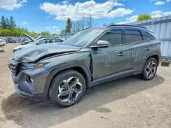 KM8JCCD11RU195592 2024 HYUNDAI TUCSON
