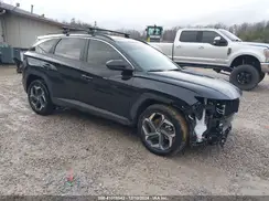 KM8JCCD11RU201987 2024 HYUNDAI TUCSON