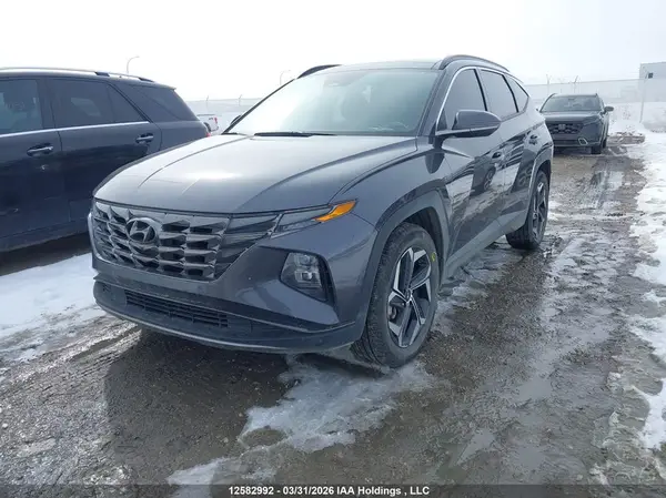 KM8JCCD12RU137278 2024 HYUNDAI TUCSON - Image 2