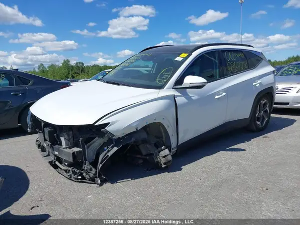 KM8JCCD12RU164982 2024 HYUNDAI TUCSON - Image 2
