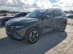 KM8JCCD12RU185542 2024 HYUNDAI TUCSON