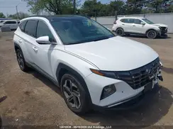 KM8JCCD12RU196525 2024 HYUNDAI TUCSON