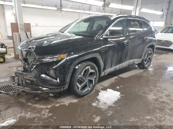 KM8JCCD12RU208298 2024 HYUNDAI TUCSON - Image 2