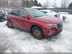 KM8JCCD12RU223254 2024 HYUNDAI TUCSON