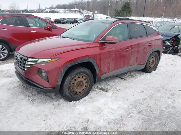 KM8JCCD12RU223254 2024 HYUNDAI TUCSON - Image 2