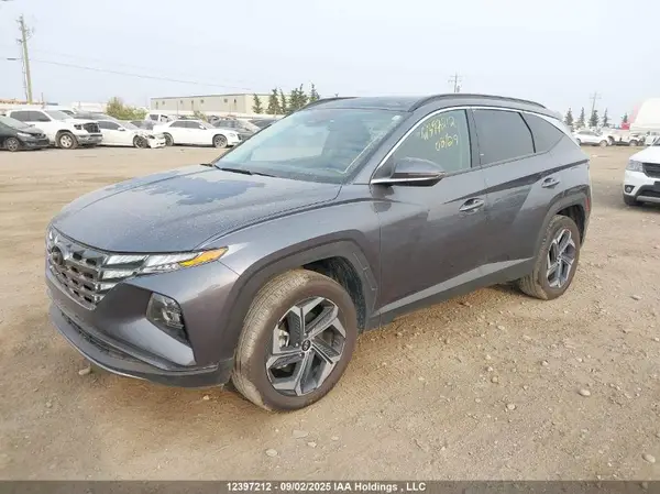 KM8JCCD12RU232567 2024 HYUNDAI TUCSON - Image 2