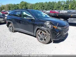 KM8JCCD13RU137385 2024 HYUNDAI TUCSON