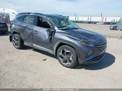KM8JCCD13RU137936 2024 HYUNDAI TUCSON