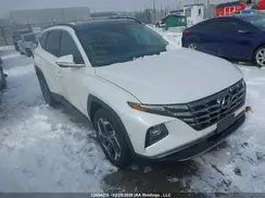 KM8JCCD13RU142053 2024 HYUNDAI TUCSON