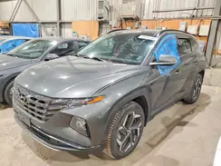 KM8JCCD13RU199238 2024 HYUNDAI TUCSON